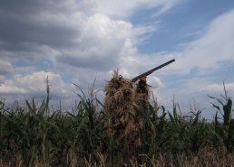 Маскировочная одежда для охоты в интернет-магазине в Ставрополе, купить маскировочную сеть с доставкой картинка 46