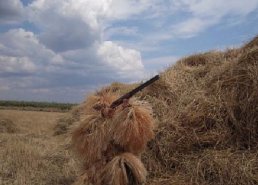 Маскировочная одежда для охоты в интернет-магазине в Ставрополе, купить маскировочную сеть с доставкой картинка 28
